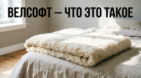 Велсофт — что это такое Велсофт — что это такое